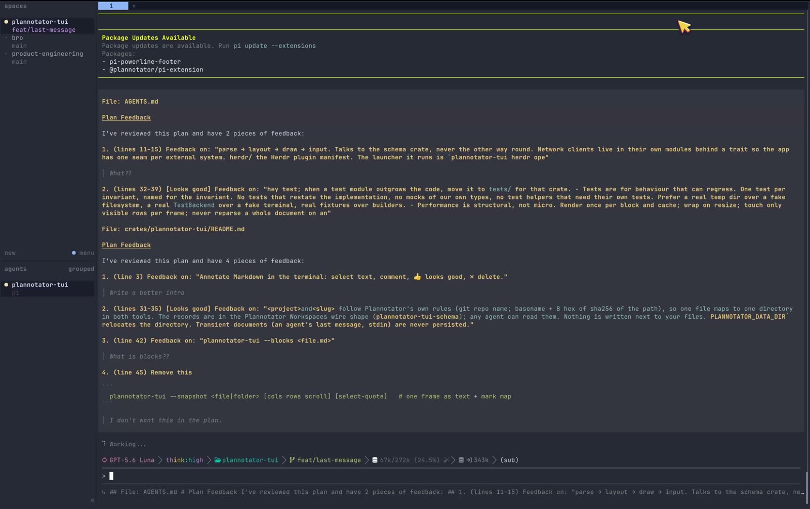 The agent's prompt showing four numbered pieces of feedback with line ranges and quoted text.